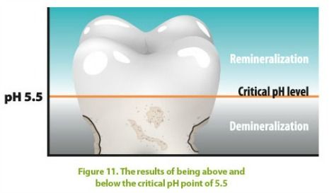 tooth enamel demineralization increases when mouth ph is below 5.5